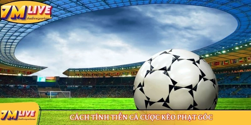 Tham khảo cách tính tiền để tham gia cá cược kèo phạt góc