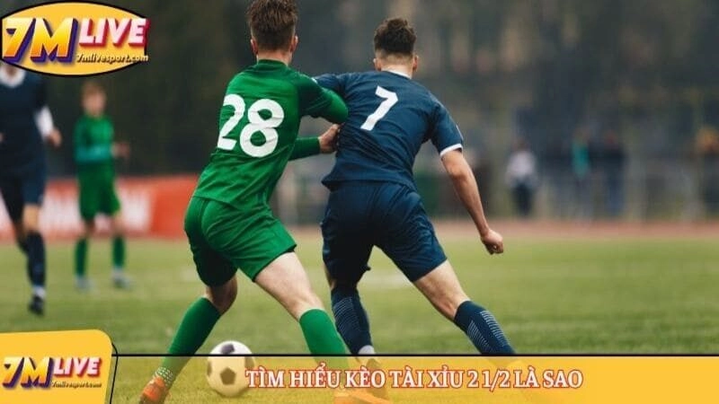 Tìm hiểu kèo tài xỉu 2 1/2 là sao