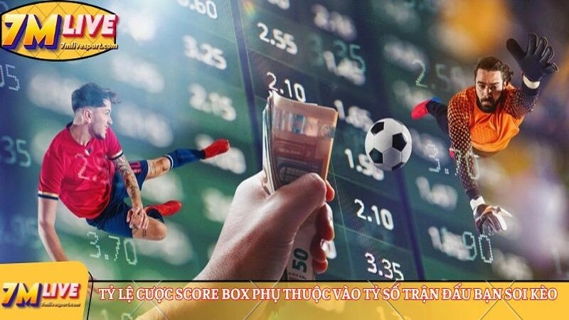 Tỷ lệ cược score box 